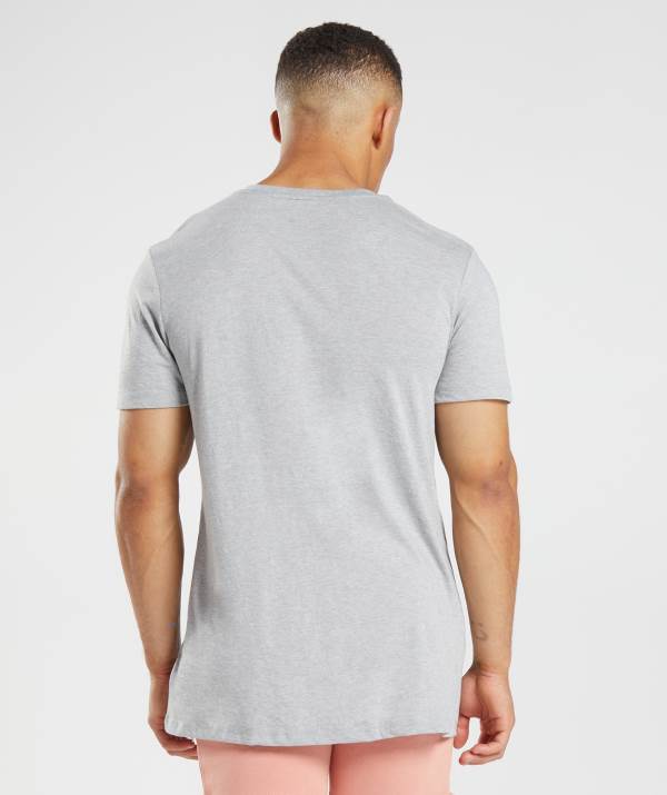 Panske Tricka Gymshark Legacy Svetlo Siva | OT9583270